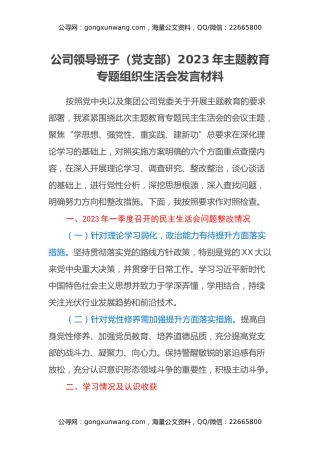 公司领导班子（党支部）2023年主题教育专题组织生活会发言材料