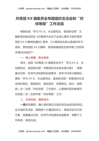 共青团XX镇委员会专题组织生活会和“对标等级”工作总结