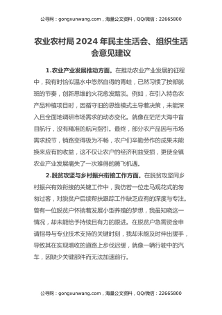 农业农村局2024年民主生活会、组织生活会意见建议