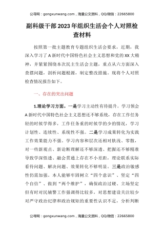 副科级干部2023年组织生活会个人对照检查材料