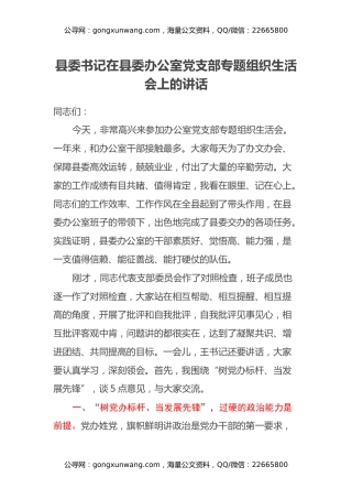 县委书记在县委办公室党支部专题组织生活会上的讲话