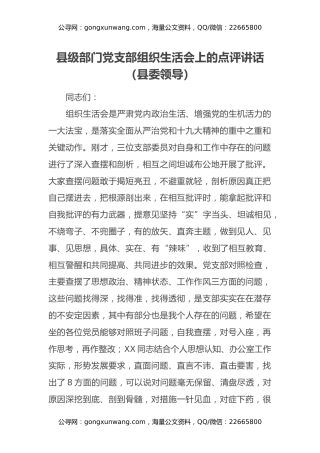 县级部门党支部组织生活会上的点评讲话（县委领导）