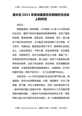 县长在2021年参加基层党支部组织生活会上的讲话