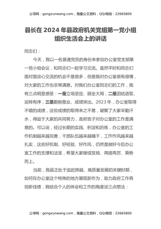 县长在2024年县政府机关党组第一党小组组织生活会上的讲话