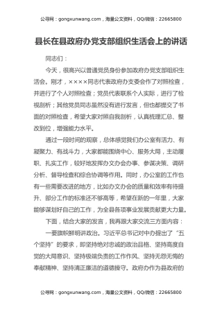 县长在县政府办党支部组织生活会上的讲话