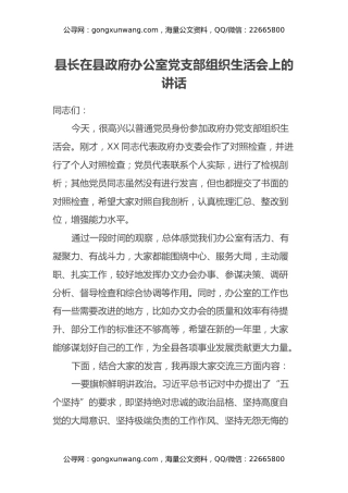 县长在县政府办公室党支部组织生活会上的讲话
