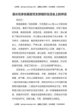 县长在参加基层党支部组织生活会上的讲话