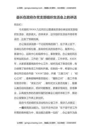 县长在政府办党支部组织生活会上的讲话