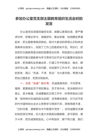 参加办公室党支部主题教育组织生活会时的发言