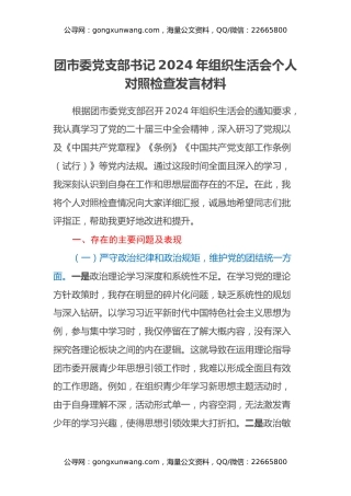 团市委党支部书记2024年组织生活会个人对照检查发言材料