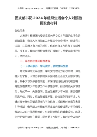 团支部书记2024年组织生活会个人对照检视发言材料