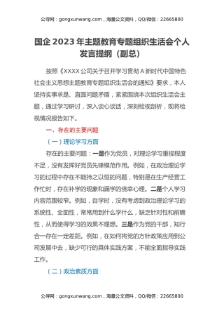 国企2023年主题教育专题组织生活会个人发言提纲(副总）