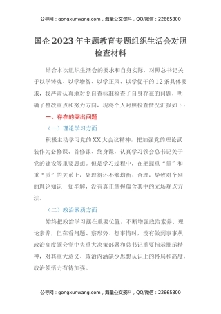 国企2023年主题教育专题组织生活会对照检查材料（2）