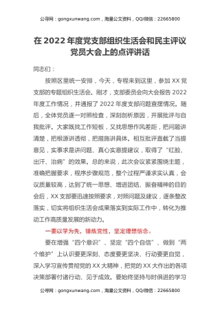 在2022年度党支部组织生活会和民主评议党员大会上的点评讲话