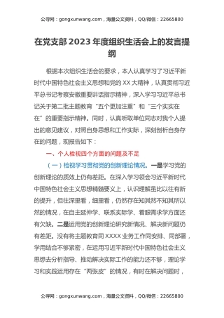 在党支部2023年度组织生活会上的发言提纲（检视四个方面）