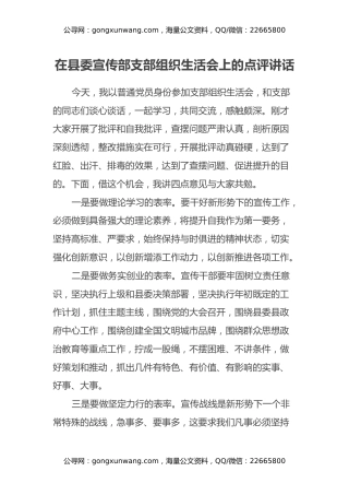 在县委宣传部支部组织生活会上的点评讲话