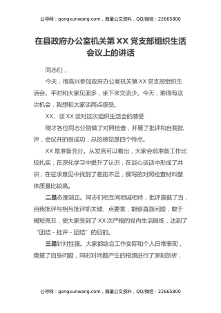在县政府办公室机关第XX党支部组织生活会议上的讲话