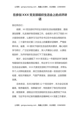 在参加XXX党支部组织生活会上的点评讲话