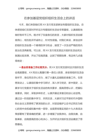 在参加基层党组织组织生活会上的讲话