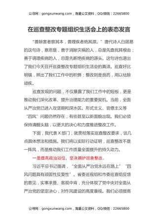 在巡查整改专题组织生活会上的表态发言