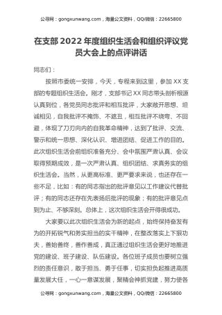 在支部2022年度组织生活会和组织评议党员大会上的点评讲话