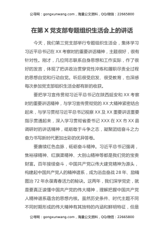 在第X党支部专题组织生活会上的讲话