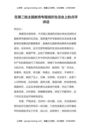 在第二批主题教育专题组织生活会上的点评讲话