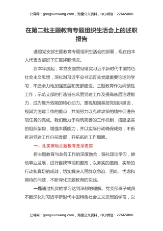 在第二批主题教育专题组织生活会上的述职报告
