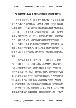 在组织生活会上学习红旗渠精神的发言