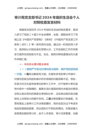 审计局党支部书记2024年组织生活会个人对照检查发言材料（四个带头+意识形态）