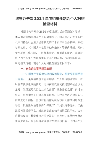 巡察办干部2024年度组织生活会个人对照检查材料