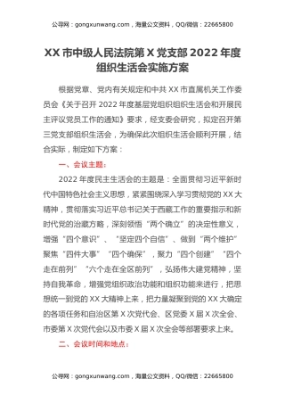 市中级人民法院第X党支部2022年度组织生活会实施方案