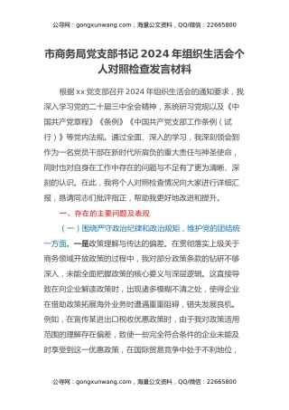 市商务局党支部书记2024年组织生活会个人对照检查发言材料（四个带头+意识形态）