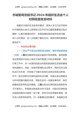 市城管局党组书记2024年组织生活会个人对照检查发言材料