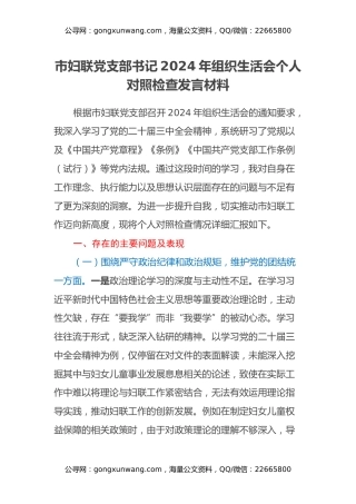 市妇联党支部书记2024年组织生活会个人对照检查发言材料