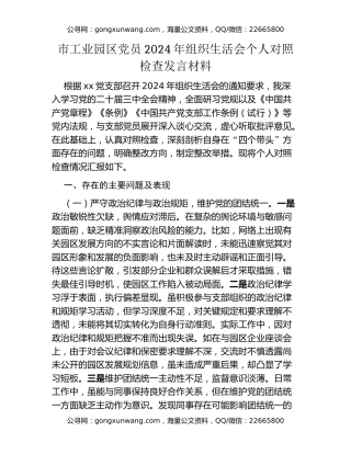 市工业园区党员2024年组织生活会个人对照检查发言材料