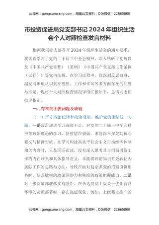 市投资促进局党支部书记2024年组织生活会个人对照检查发言材料