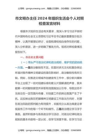 市文明办主任2024年组织生活会个人对照检查发言材料