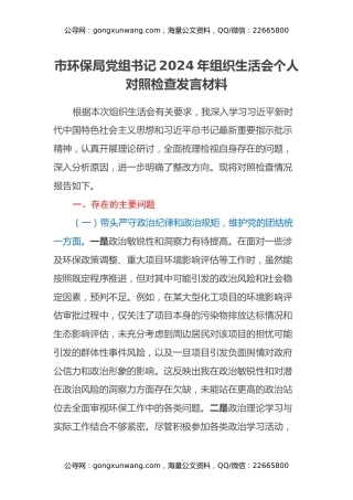 市环保局党组书记2024年组织生活会个人对照检查发言材料