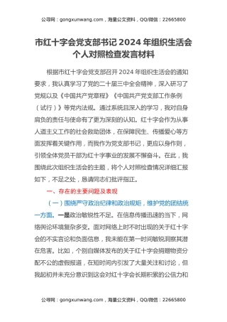 市红十字会党支部书记2024年组织生活会个人对照检查发言材料