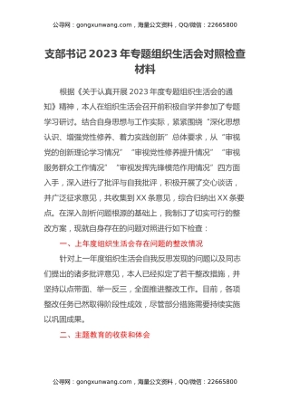 支部书记2023年专题组织生活会对照检查材料（四个方面检视）