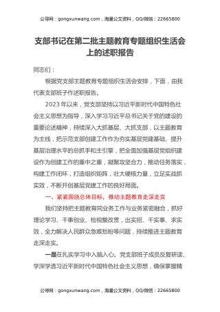 支部书记在第二批主题教育专题组织生活会上的述职报告