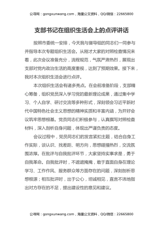 支部书记在组织生活会上的点评讲话