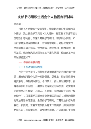 支部书记组织生活会个人检视剖析材料