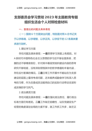 支部委员会学习贯彻2023年主题教育专题组织生活会个人对照检查材料