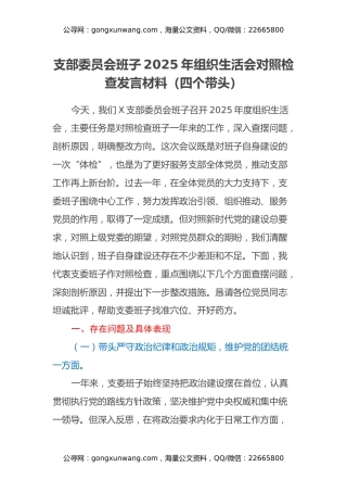 支部委员会班子2025年组织生活会对照检查发言材料（四个带头）