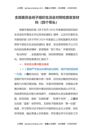 支部委员会班子组织生活会对照检查发言材料（四个带头）