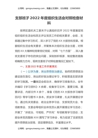 支部班子2022年度组织生活会对照检查材料 (2)