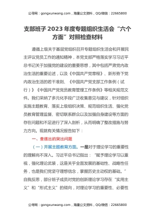 支部班子2023年度专题组织生活会“六个方面”对照检查材料