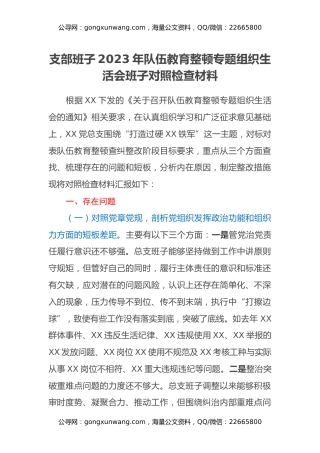 支部班子2023年队伍教育整顿专题组织生活会班子对照检查材料